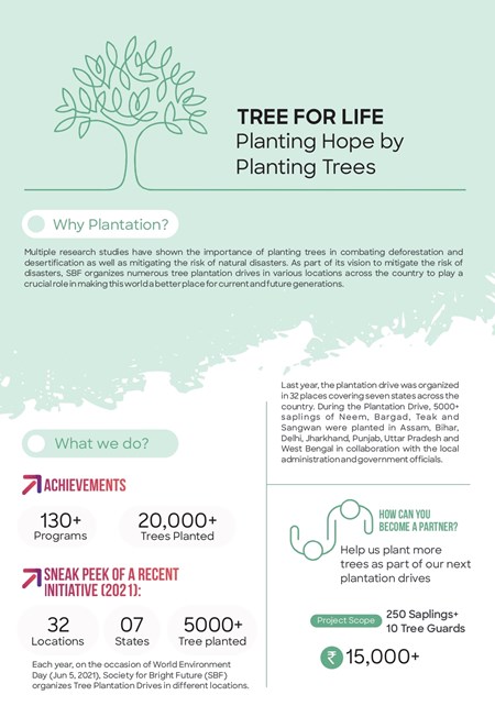 SBF Tree for Live | Plantation Drive